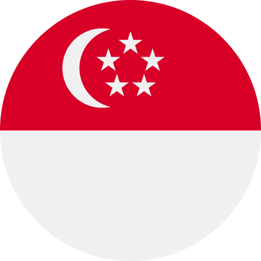 الدليل الكامل لرحلة العمل إلى سنغافورة Flag