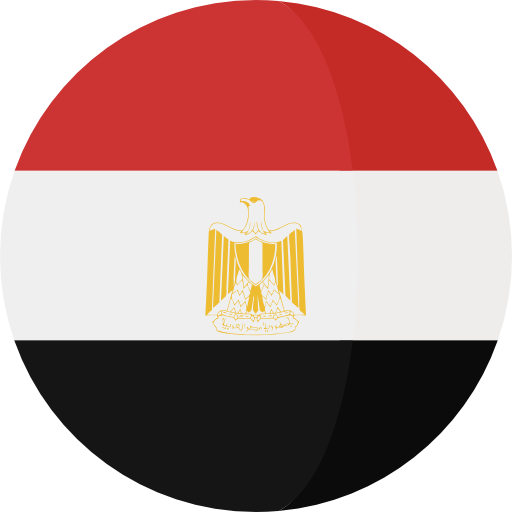 رحلة عمل إلى القاهرة، مصر Flag