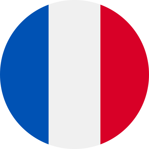 رحلة عمل إلى باريس، فرنسا Flag