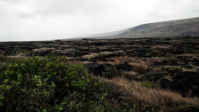 things to do in Kauai