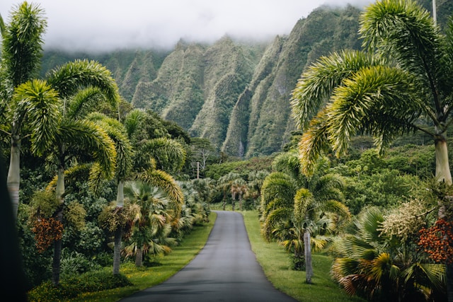 How Do You Experience Oahu Like a Local?